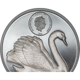 2023 $10 Cook Islands, BLACK SWAN